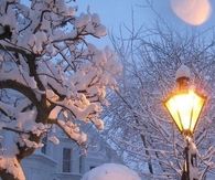 White Street