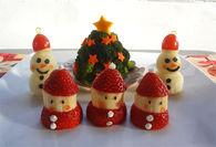Fruit Christmas Food Art