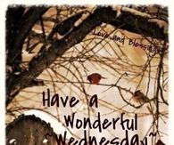Have a wonderful Wednesday