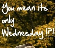 You Mean It's Only Wednesday