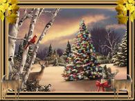 Christmas Tree in the Forest
