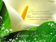 Happy New Year 2015