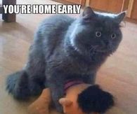 you're home early