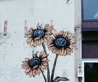 Graffiti Flowers
