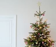 Cute Tabletop Tree
