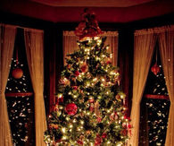 Christmas Tree at Night
