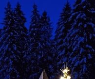 Sparkling Tree in the Snow