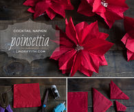 DIY Poinsettas