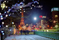 Beautiful Winter Day