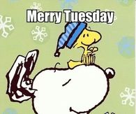 Merry Tuesday