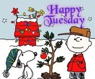 Happy Tuesday Friends