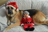 Santa Dog and Baby Elf