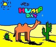Happy Hump Day