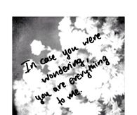 You are everything to me