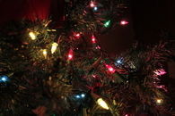 Xmas tree lights