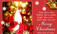 Merry Christmas with Lots of Love