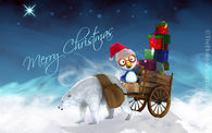 Christmas Pics