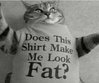Does this Shirt Make Me Look Fat