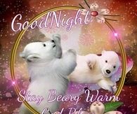 Goodnight Stay Warm