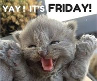 Yay Its Friday