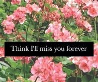 I'll miss you forever