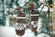 Mittens Hanging from Tree Br