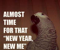 Almost time 