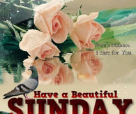 Have a beautiful Sunday