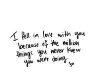 i Fell In Love With You