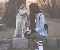 Dogs and Fashion