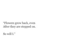 Flowers grow back, even after they are stepped on.  So Will I