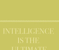 Intelligence 
