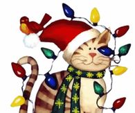Kitty Decorated with String of Lights