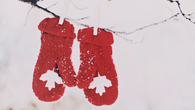 Red Mittens Hanging in the Snow
