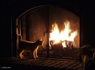 Warmth