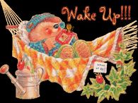 Wake Up!!!