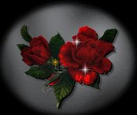 Sparkling Red Roses