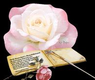 Pretty Pink Rose