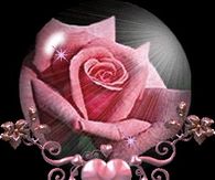 Pink Rose Sparkle Globe