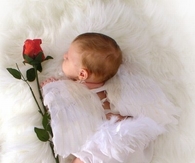 Precious Baby Angel