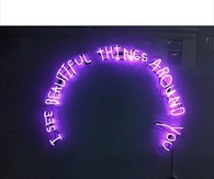 Beautiful Things Around You