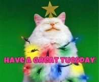 Have a great Tuesday