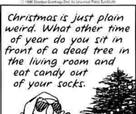 Christmas is just plain weird....