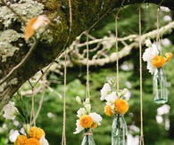 hanging Flower Bottles
