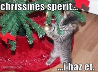 Kitty Has Christmas Spirit