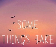 some things take time