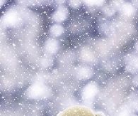 Teddy Bear in the Snow