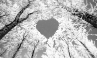Snow Heart