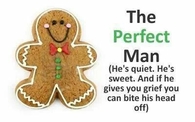 The Perfect Man