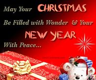 May your Christmas be filled with wonder and your New Year with Peace